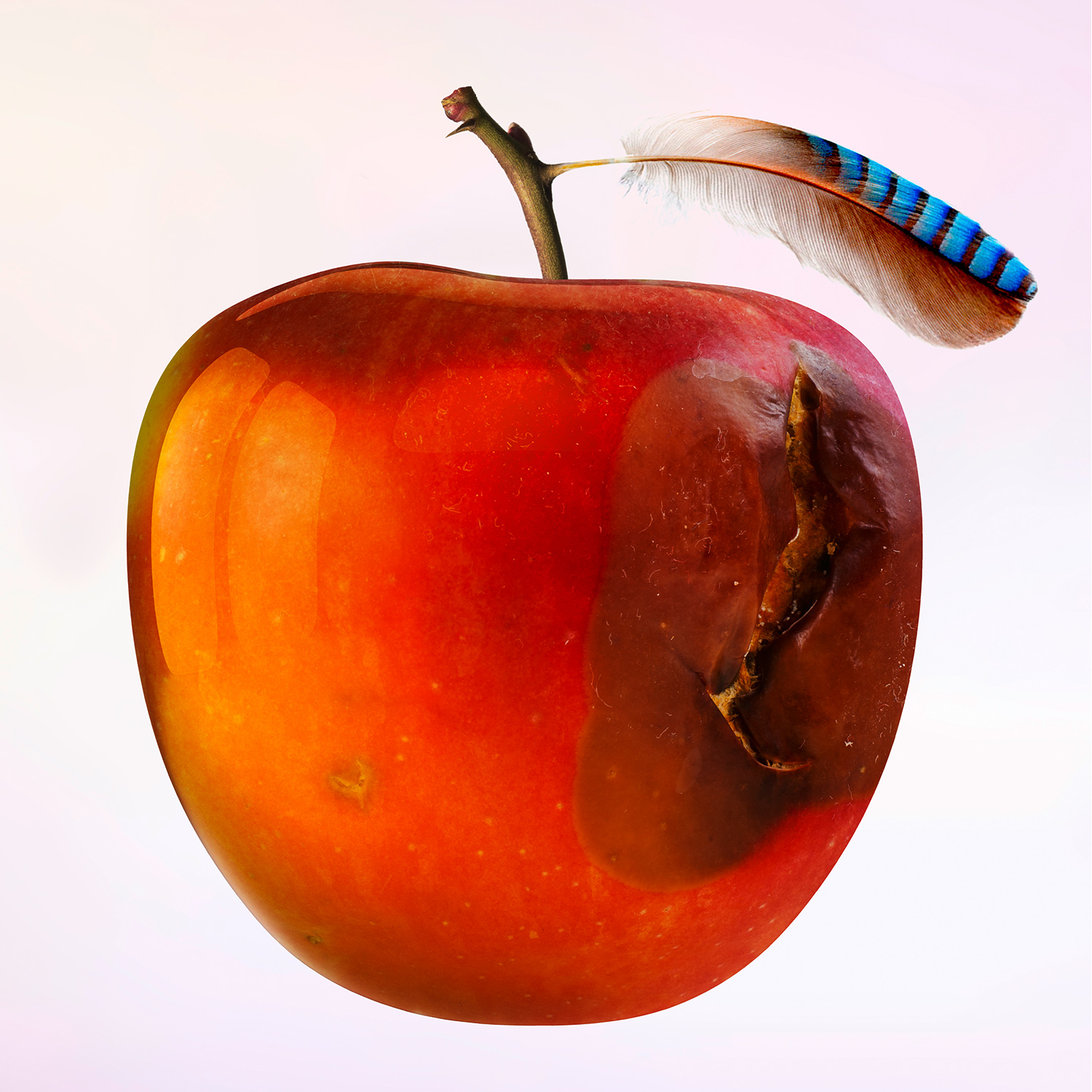 Red apple fruit nutrition ripe food antioxidant fresh exotic icon